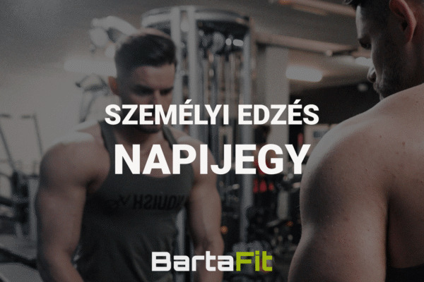Személyi edzés Kiskunhalason - Napijegy